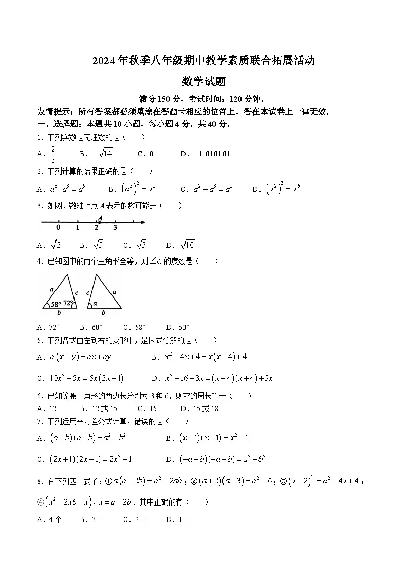 福建省泉州市泉港区2024-2025学年八年级上学期11月期中考试数学试卷(含答案)第1页