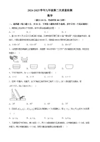 河南省濮阳市2025届九年级下学期第二次联考 数学试题