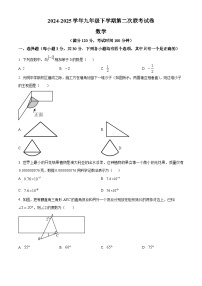 河南省郑州市管城区2025届九年级下学期第二次联考 数学试题试卷