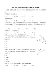 四川省绵阳市涪城区九年级2025届中考 数学第二次诊断试卷（含解析）