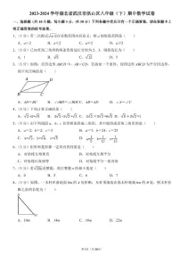 2023-2024武汉市洪山区八年级(下)期中数学试卷
