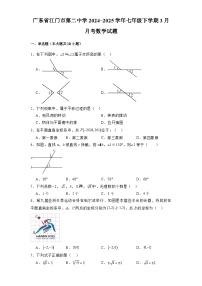 广东省江门市第二中学2024-2025学年七年级下学期3月月考 数学试题（含解析）