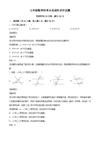 广东省梅州市兴宁市实验学校、宁江中学2024-2025学年七年级下学期3月月考 数学试题（含解析）