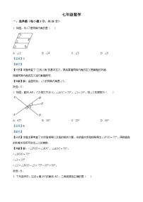 吉林省松原市前郭县北部学区2024-2025学年下学期第一次月考试卷七年级 数学（含解析）