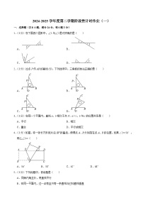 辽宁省鞍山市第二中学2024-2025学年七年级下学期第一次月考 数学试题（含解析）