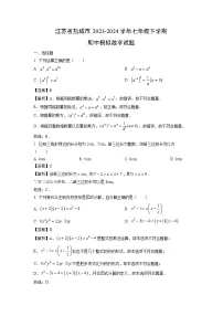 江苏省盐城市2023-2024学年七年级下学期期中模拟数学试卷(解析版)