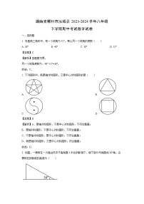 湖南省郴州市汝城县2023-2024学年八年级下学期期中考试数学试卷（解析版）