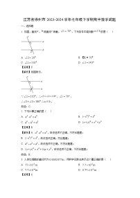 江苏省徐州市2023-2024学年七年级下学期期中数学试卷（解析版）