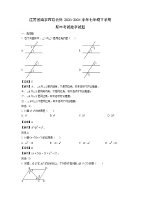 江苏省南京市联合体2023-2024学年七年级下学期期中考试数学试卷（解析版）