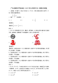 广东省韶关市翁源县2025年九年级中考一模数学试卷（解析版）