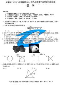 2025年安徽省C20教育联盟九年级第二次学业水平（二模）检测数学试题（含答案）