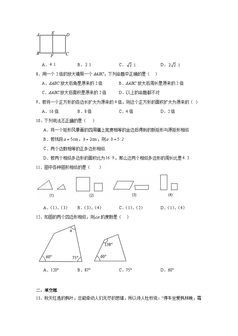 9.3相似多边形同步练习 鲁教版(五四制)数学八年级下册第2页