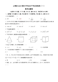2025年云南省昭通市绥江县中考一模数学试题（原卷版+解析版）