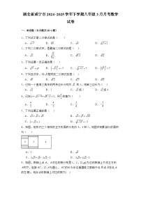 湖北省咸宁市2024-2025学年下学期八年级3月月考 数学试卷(含解析)