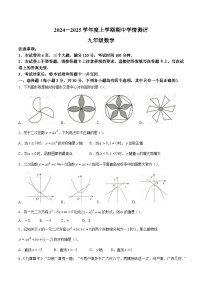 河南省驻马店市平舆县2025届九年级上学期期中学情测试数学试卷(含答案)