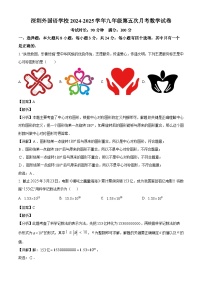 广东省深圳市外国语学校2024-2025学年九年级下学期第五次月考 数学试卷(一模)(含解析)