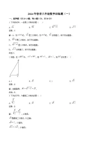 湖北省黄石市2023-2024学年八年级下学期3月月考数学试卷(含解析)