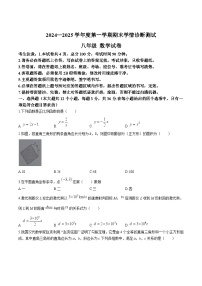 河北省张家口市桥西区2024-2025学年八年级上学期1月期末数学试卷(含答案)