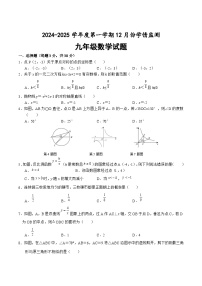 山东省济宁市金乡县2025届九年级上学期12月月考数学试卷(含答案)