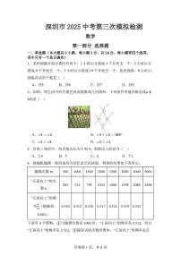 2025年广东省深圳市福田外国语学校中考三模数学检测卷（含答案）