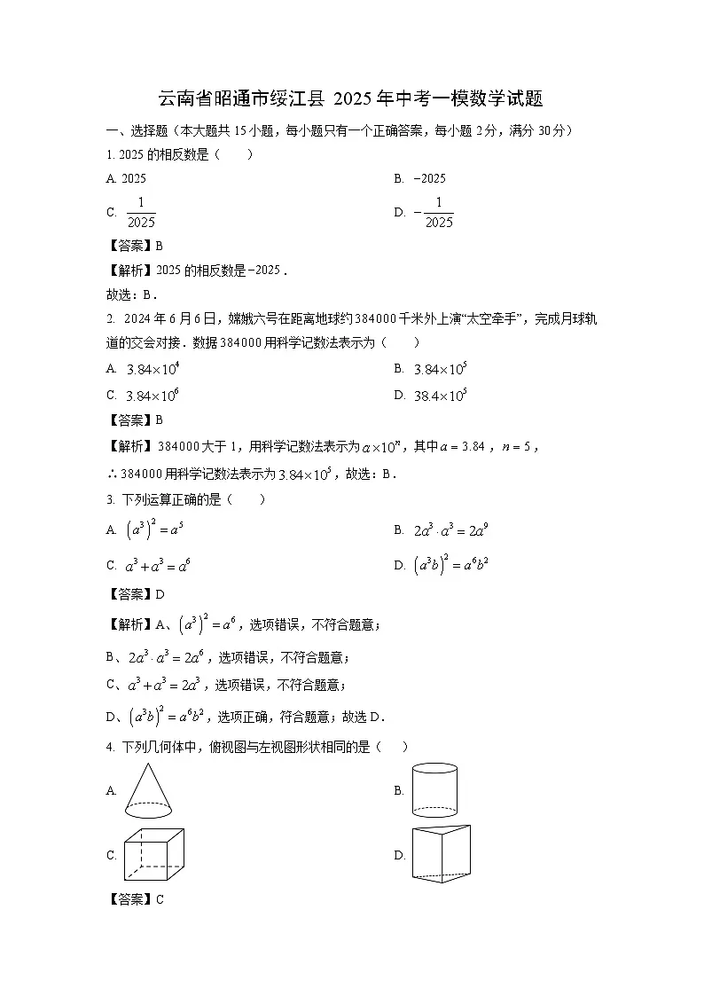 云南省昭通市绥江县2025年中考一模数学试卷(解析版)第1页