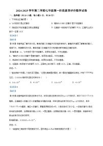 广东省佛山市南海外国语学校2024-2025学年七年级下学期期中 数学试题（含解析）