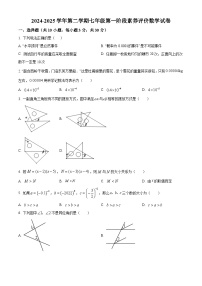 广东省佛山市南海外国语学校2024-2025学年七年级下学期期中 数学试题