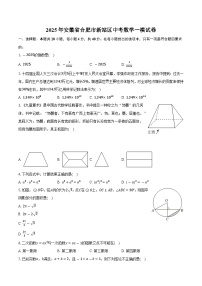 2025年安徽省合肥市新站区中考数学一模试卷【含答案】