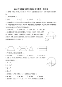 2025年安徽省合肥市新站区中考数学一模试卷【含答案】