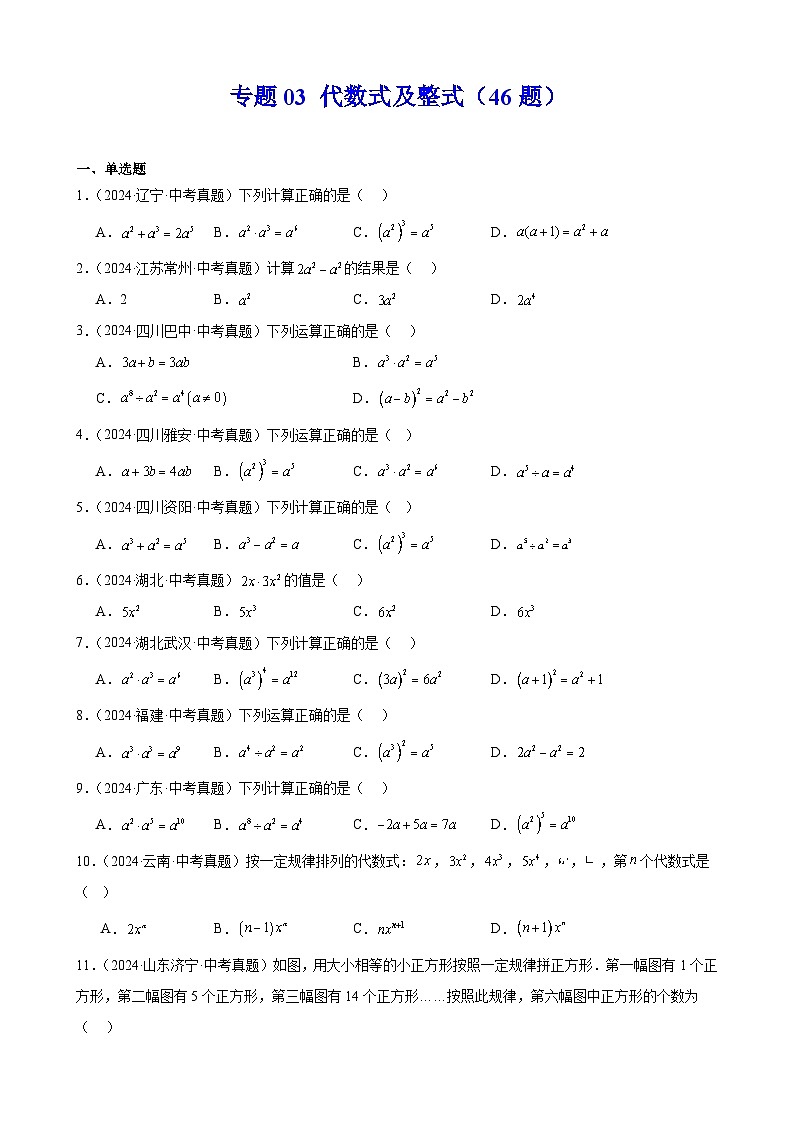2024年中考数学真题分类汇编专题03 代数式及整式(46题)(学生版)第1页
