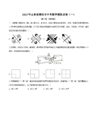 山东省潍坊市2025届九年级下学期中考模拟（一）数学试卷(含答案)