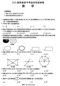 2025年漯河市九年级中考一模数学试卷及答案