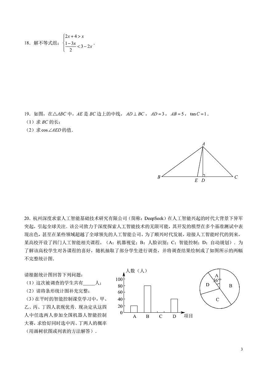 2025 年長沙中考適應(yīng)性試模擬數(shù)學(xué)試卷四第3頁