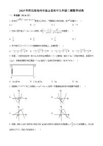 2025年河北省沧州市盐山县初中九年级中考二模数学试卷（原卷版+解析版）