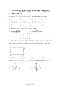 2024-2025学年 河北省沧州市盐山县初中九年级中考二模数学试卷（含答案）