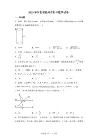 2024-2025学年 河北省沧州市盐山县下册4月月考九年级数学试题（含答案）
