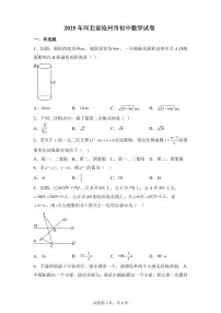 2024-2025学年 河北省沧州市盐山县下册4月月考九年级数学试题(含答案)