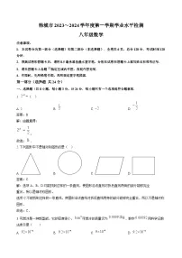 陕西省渭南市韩城市2023-2024学年八年级上学期期末学业水平检测数学试卷(含解析)