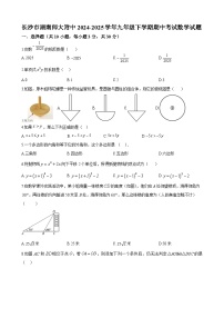 长沙市湖南师大附中2024-2025学年九年级下学期期中考试数学试题及参考答案