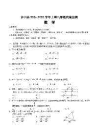 四川省乐山市沐川县2025届九年级上学期期末考试数学试卷(含答案)