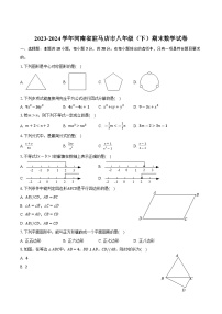 河南省驻马店市2023-2024学年八年级下学期期末考试数学试卷(含答案)