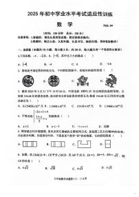 2025年山东省临沂市罗庄区中考一模数学试题（含答案）