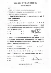 2024~2025学年广东省深圳中学七年级下学期期中考试数学试题（含答案）