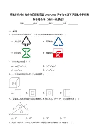 福建省泉州市南安市区四校联盟2025届九年级下学期初中毕业班（泉州一检模拟）数学试卷(含解析)