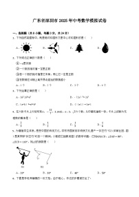 广东省深圳市2025届九年级下学期中考模拟数学试卷(含答案)