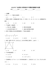 广东省阳江市阳春市2025届九年级下学期中考模拟预测数学试卷(含解析)