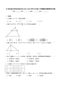 江苏省南京市2025届九年级下学期期初调研数学试卷(含解析)