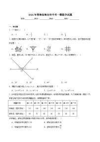 青海省海东市2024届九年级下学期中考一模数学试卷(含解析)