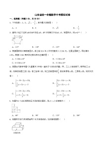 2025年山东省统一命题数学中考模拟试卷附答案