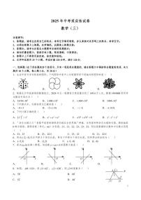 2025 年长沙中考数学适应性试卷三